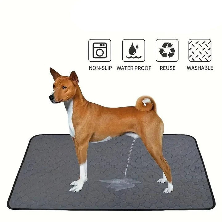 Havenholt Absorbent Puppy Training Pads, Reusable or Disposable
