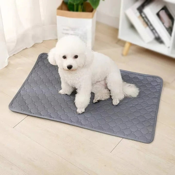 Havenholt Absorbent Puppy Training Pads, Reusable or Disposable