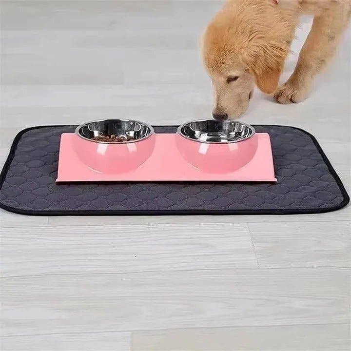Havenholt Absorbent Puppy Training Pads, Reusable or Disposable