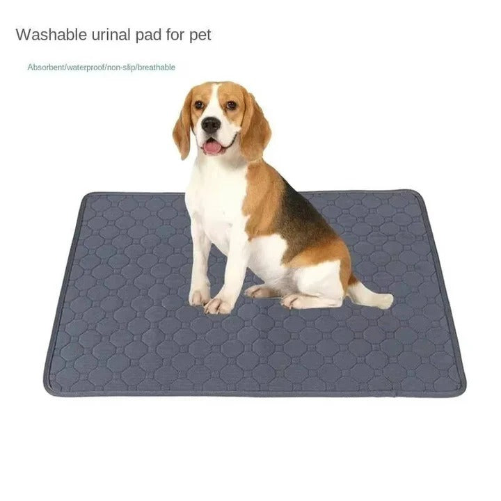 Havenholt Absorbent Puppy Training Pads, Reusable or Disposable