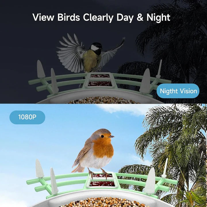 Solar Powered Smart Bird Feeder With WiFi Connectivity