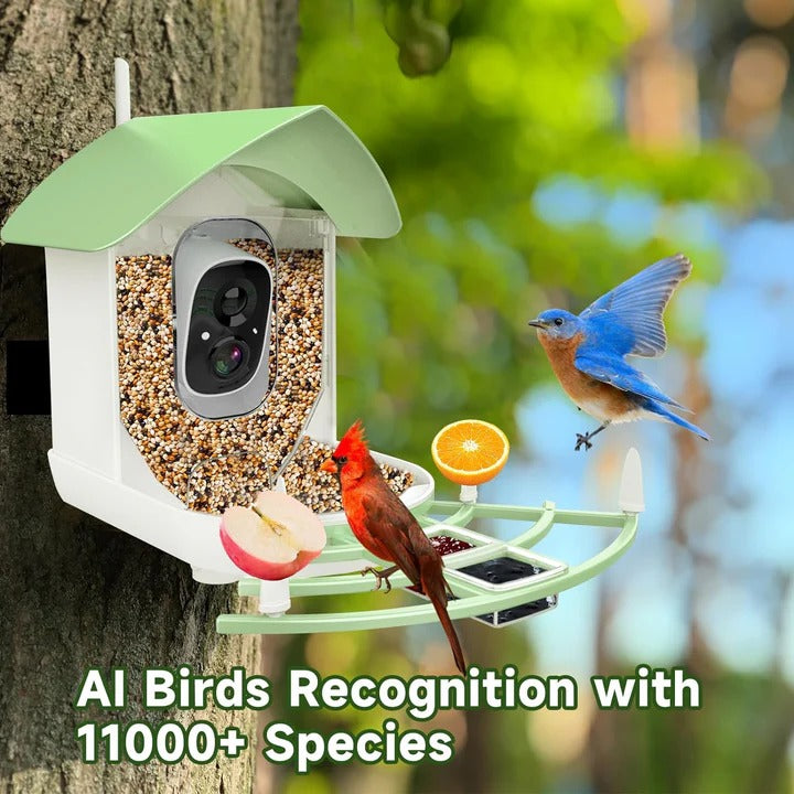 Solar Powered Smart Bird Feeder With WiFi Connectivity