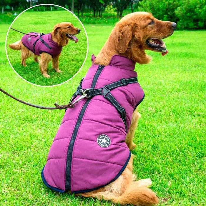 Windproof Sherpa Lined Dog Jacket With Easy Entry Harness
