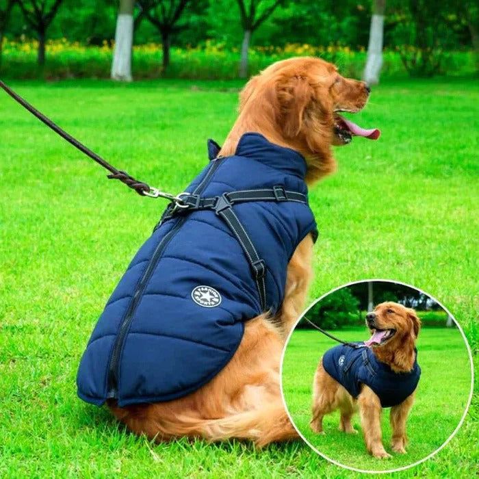 Windproof Sherpa Lined Dog Jacket With Easy Entry Harness