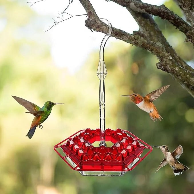 Hanging Hummingbird Feeder with Ant Guard and Resting Perch