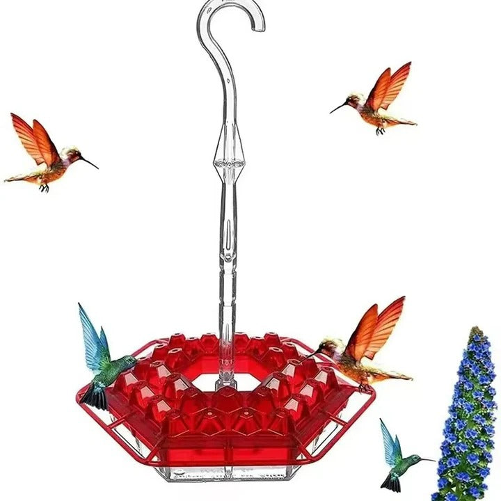 Hanging Hummingbird Feeder with Ant Guard and Resting Perch
