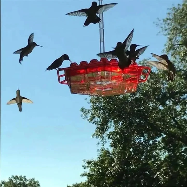 Hanging Hummingbird Feeder with Ant Guard and Resting Perch