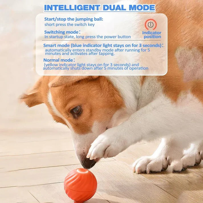 Smart Rolling Ball with Active Motion for Pet