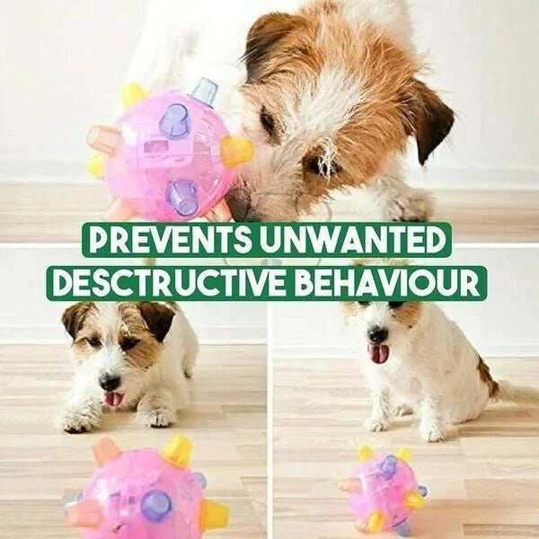 Motion Activated New Jumping Activation Dog Toy Ball