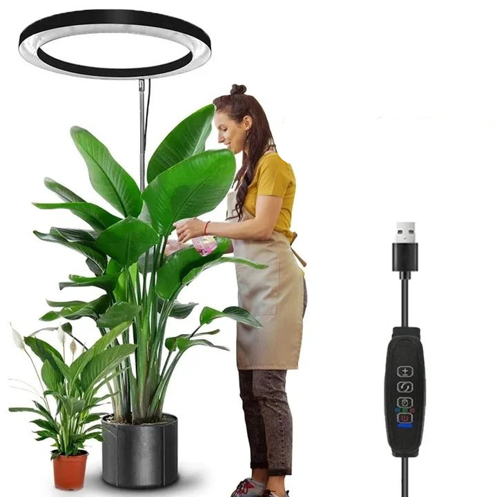 LED Grow Light for Indoor Plants with Automatic Timer