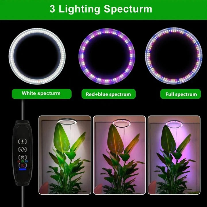 LED Grow Light for Indoor Plants with Automatic Timer