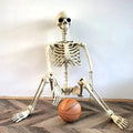 Havenholt Life-Size Anatomical Skeleton Decoration