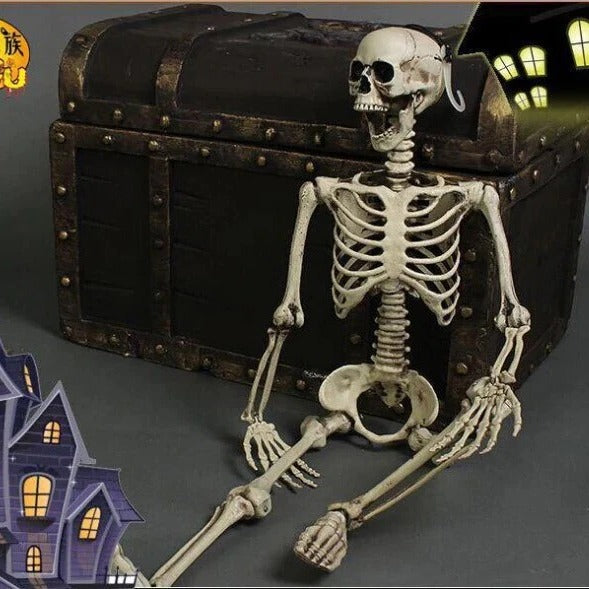 Havenholt Life-Size Anatomical Skeleton Decoration