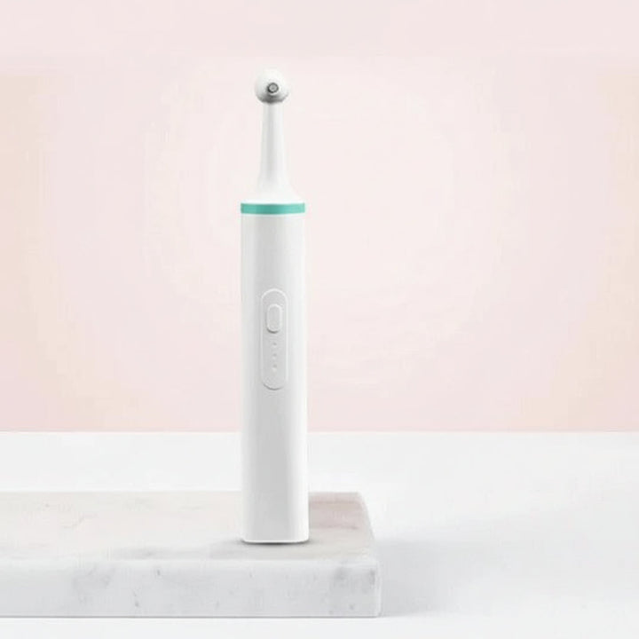 Havenholt Electric Oral Care Plaque Remover with 4 Heads