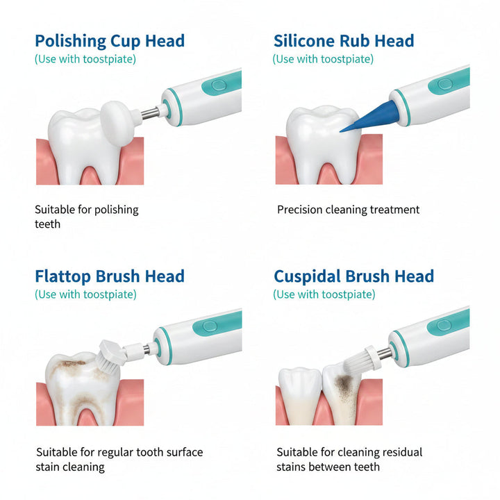 Havenholt Electric Oral Care Plaque Remover with 4 Heads