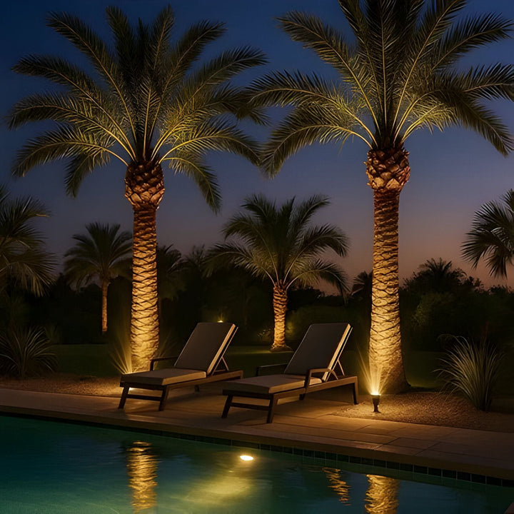 Solar Powered Spot Light with Adjustable Zoom Function