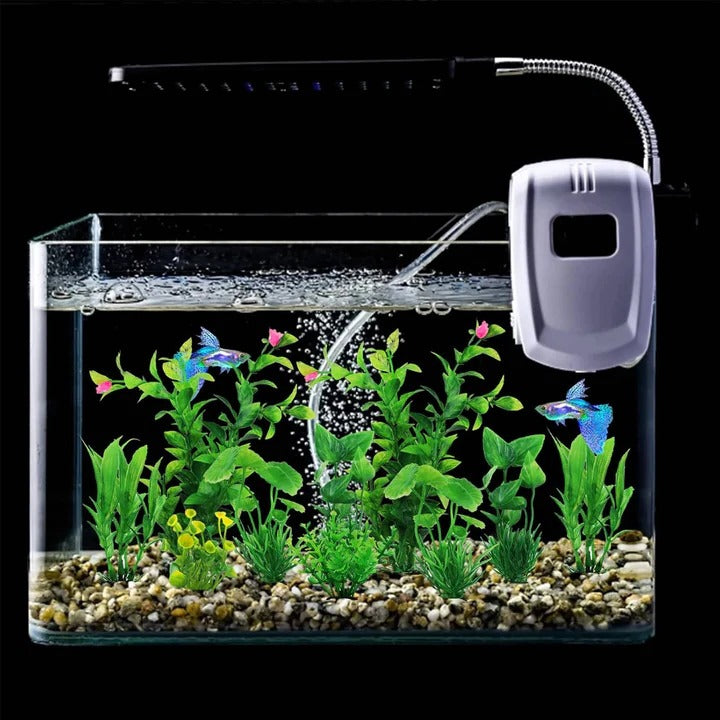 Decorative Item for Fish Tank and Aquarium