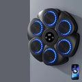 Havenholt Musical Boxing Wall Target