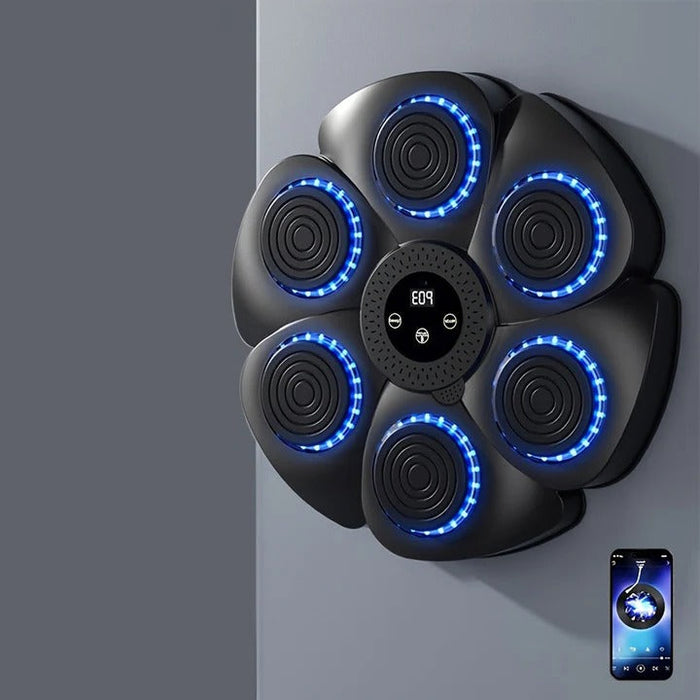 Havenholt Musical Boxing Wall Target