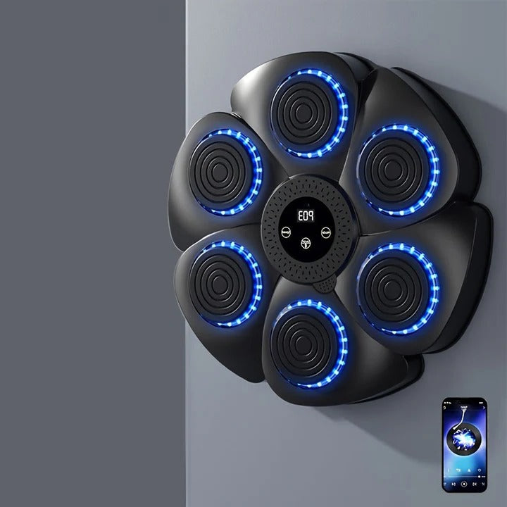 Havenholt Musical Boxing Wall Target