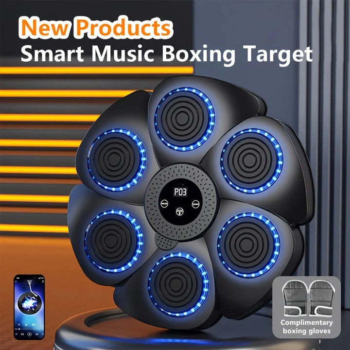 Havenholt Musical Boxing Wall Target