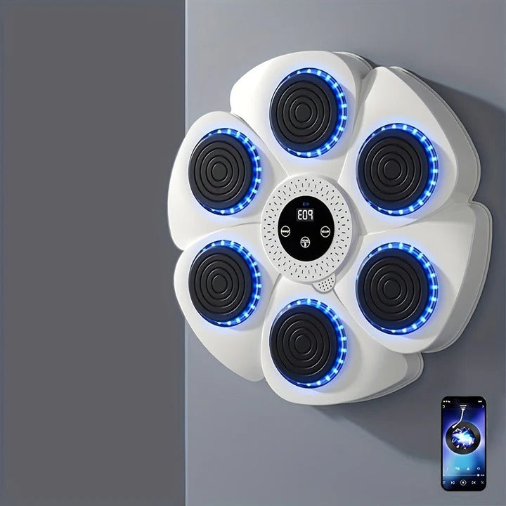 Havenholt Musical Boxing Wall Target