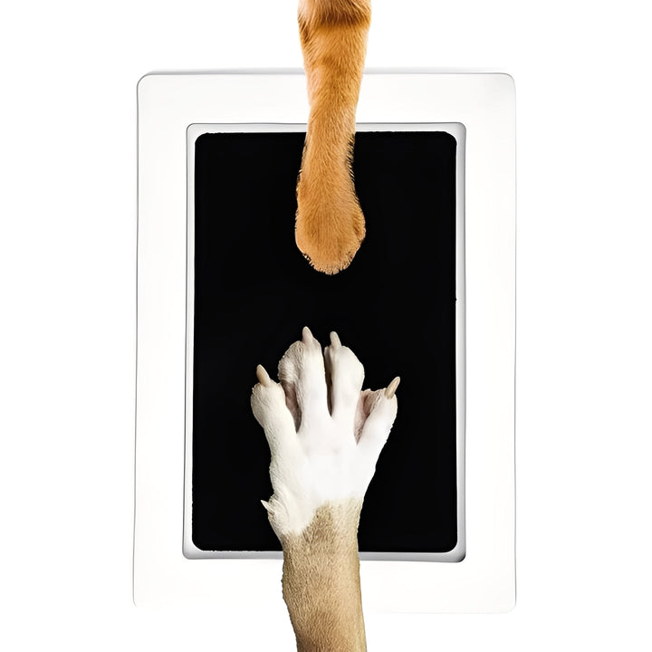 Dog Paw Print Kit with Ink Pad and Frame