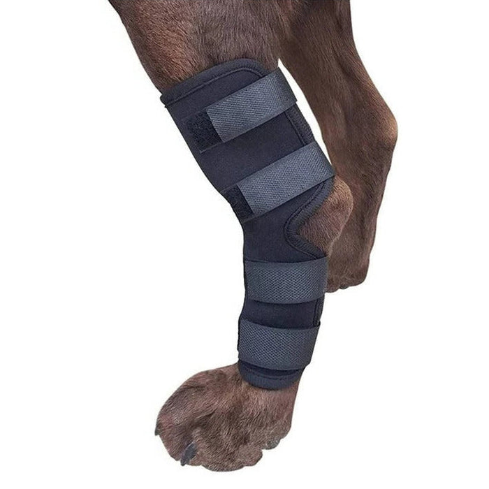 Dog Brace for Leg Support and Joint Stabilization