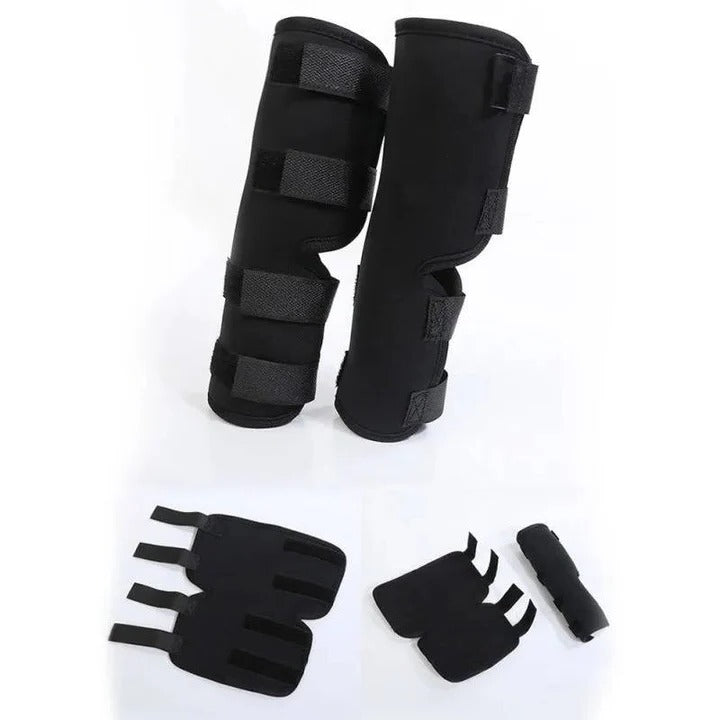 Dog Brace for Leg Support and Joint Stabilization