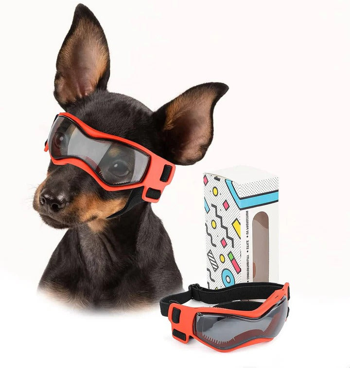 Dog Goggles for Pet Eye Protection