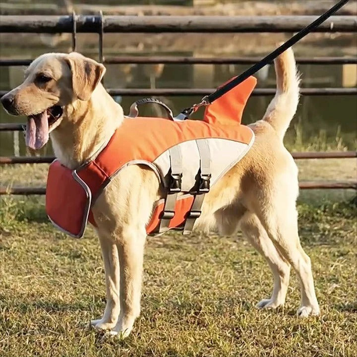 Havenholt Dog Life Jacket with Shark Fin Design