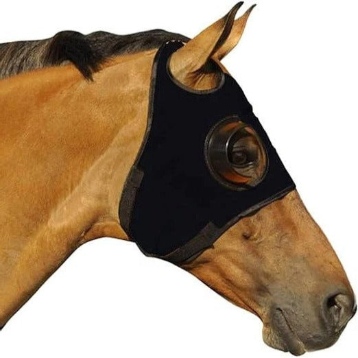 Horse Blinders for Focus and Concentration