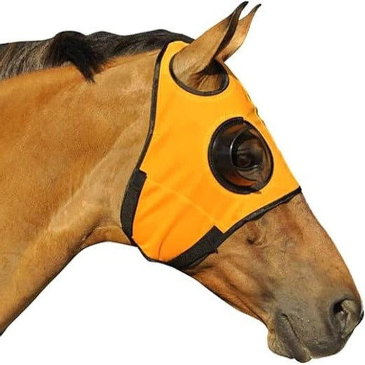Horse Blinders for Focus and Concentration