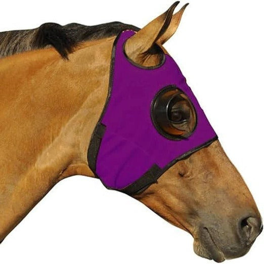 Horse Blinders for Focus and Concentration