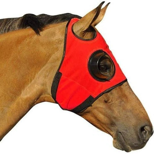 Horse Blinders for Focus and Concentration