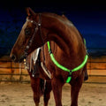 Horse Breast Collar with LED Lights for Night Riding