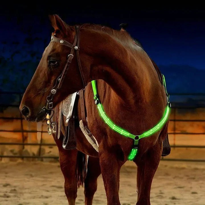 Horse Breast Collar with LED Lights for Night Riding