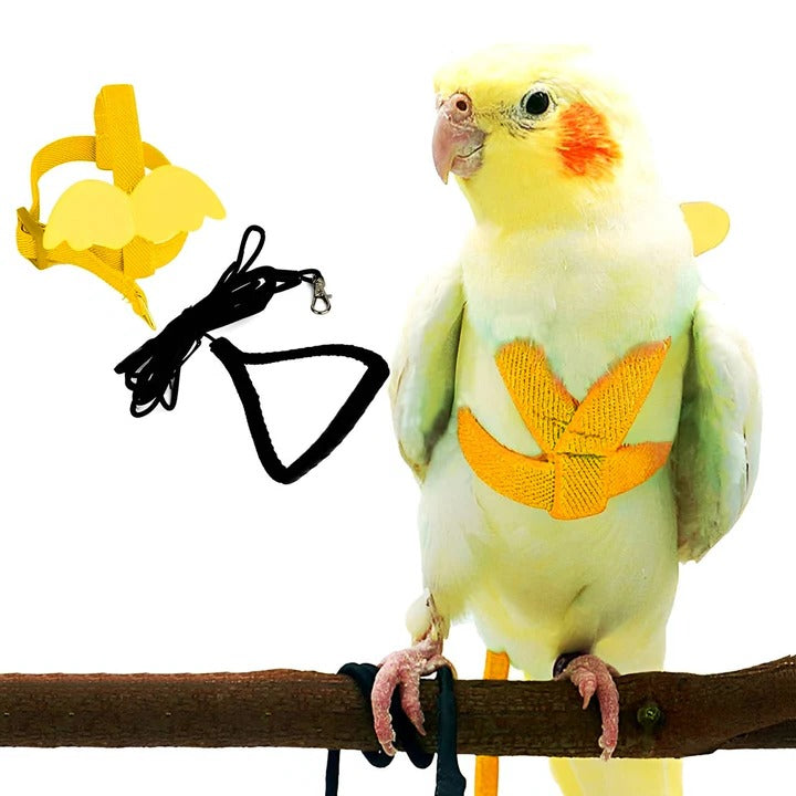 Bird Harness for Parrot Walking and Training