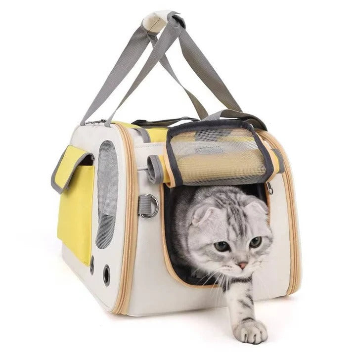 Travel Pet Carrier for Small Dogs and Cats
