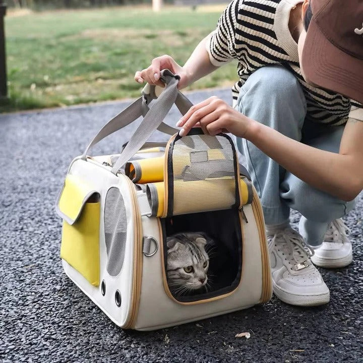 Travel Pet Carrier for Small Dogs and Cats