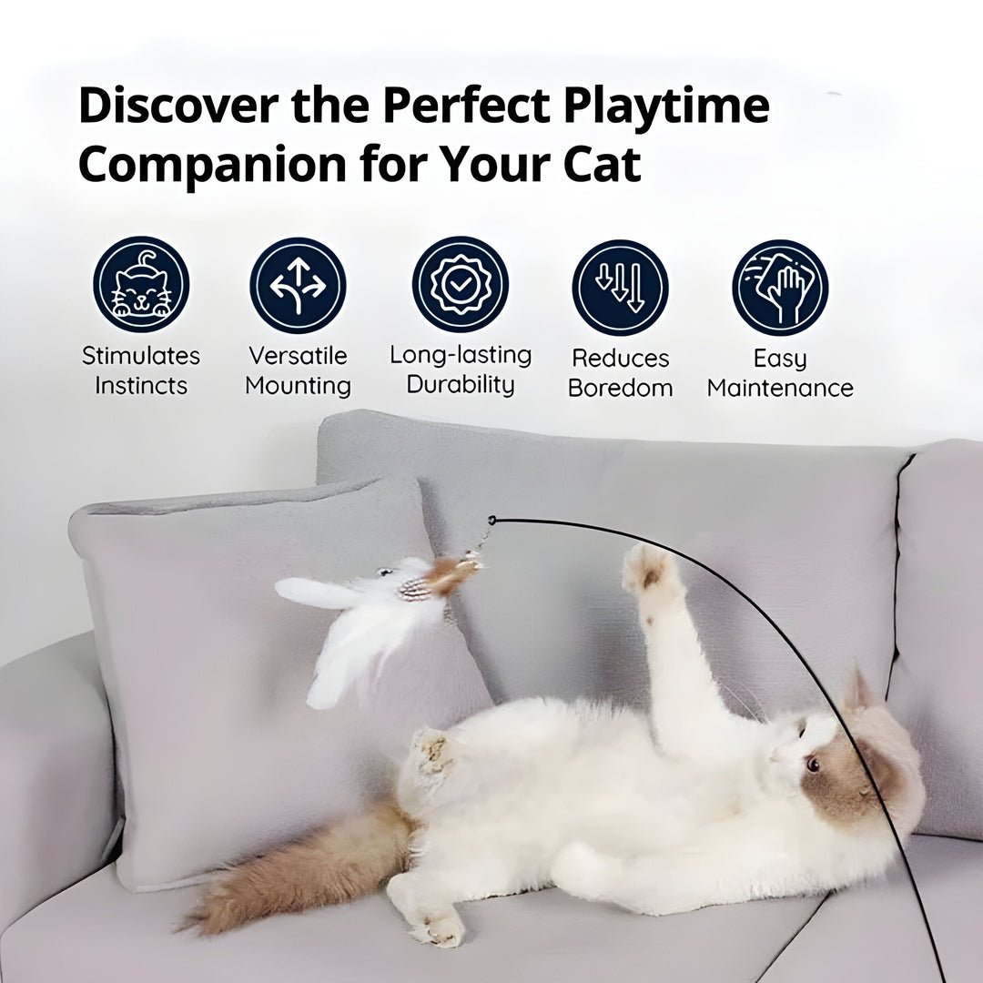 Feather Bird Simulation Toy Set for Cats and Kitten Play