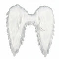 Havenholt Feathered Angel Wings Costume
