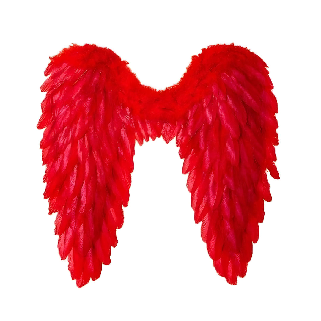 Havenholt Feathered Angel Wings Costume