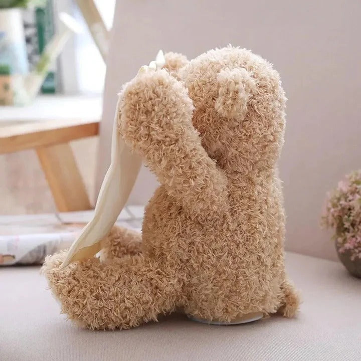 Havenholt Peek-a-Boo Plush Teddy with Sounds for Tummy Time