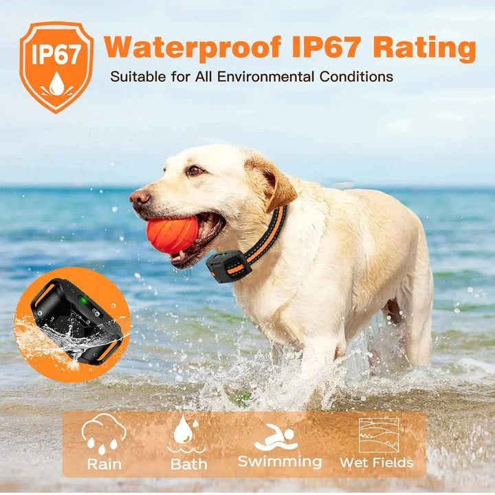 Dog Training E Collar Remote for Training and Control
