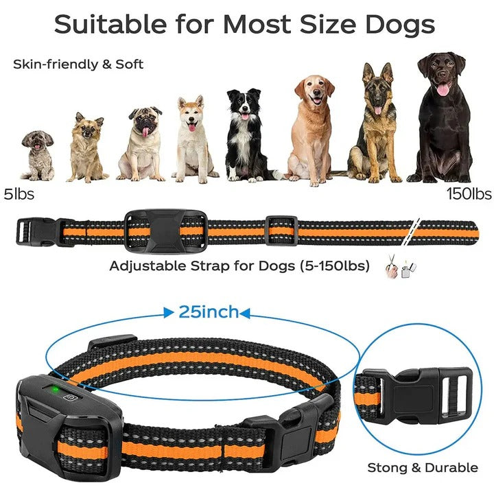 Dog Training E Collar Remote for Training and Control