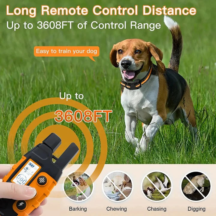 Dog Training E Collar Remote for Training and Control