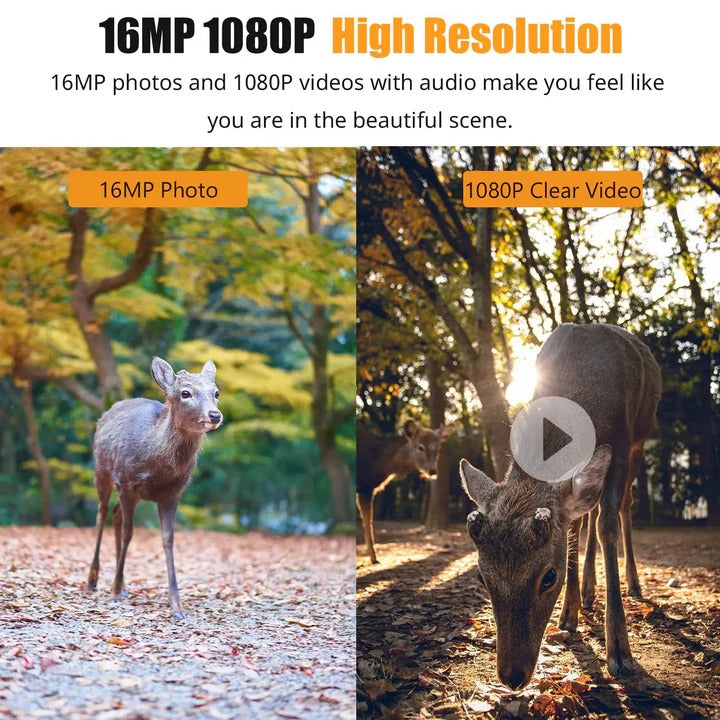 High Resolution Trail Camera Night Vision for Surveillance