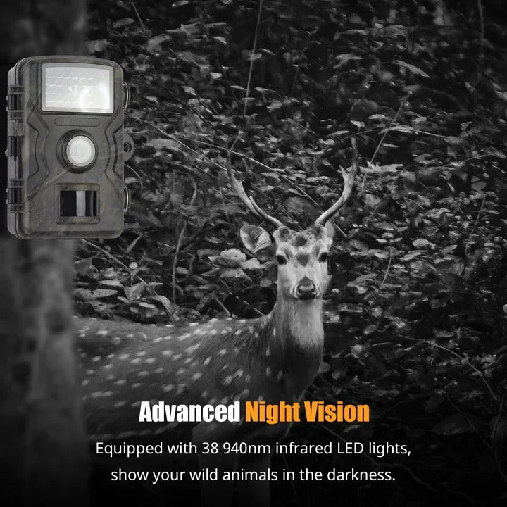 High Resolution Trail Camera Night Vision for Surveillance