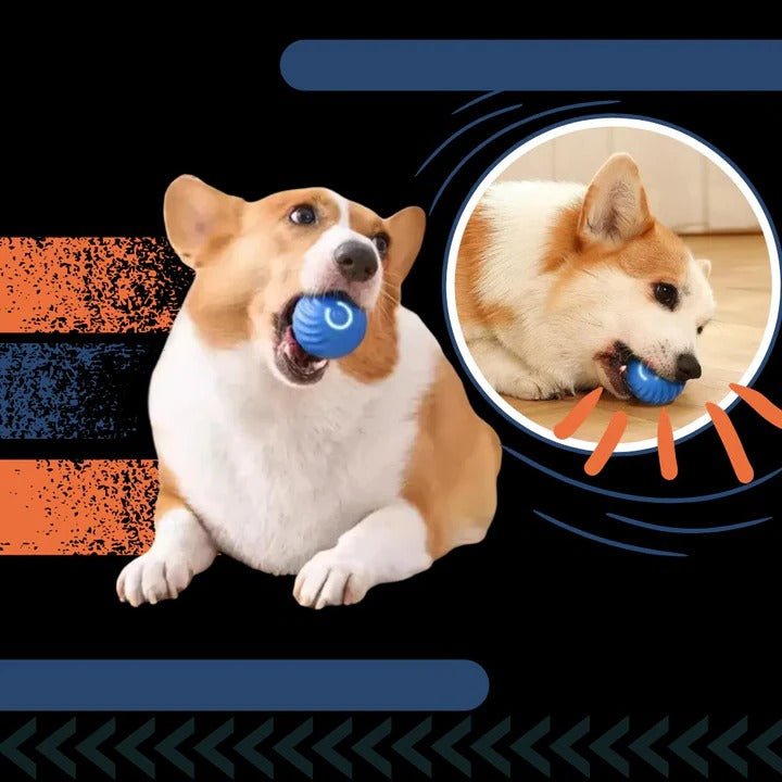 Interactive Dog Ball Toy for Chasing and Avoidance Play